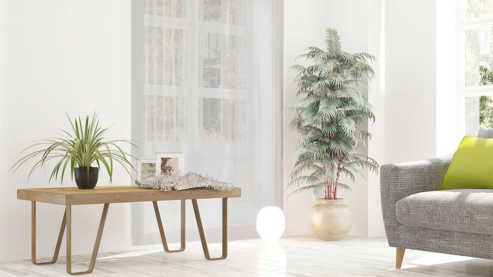 Adelaide curtain fabric Saratoga for blockout or sheer. Saratoga fabric for Adelaide curtains and blinds, ideal for curtain Adelaide blockout curtains or sheer curtains.